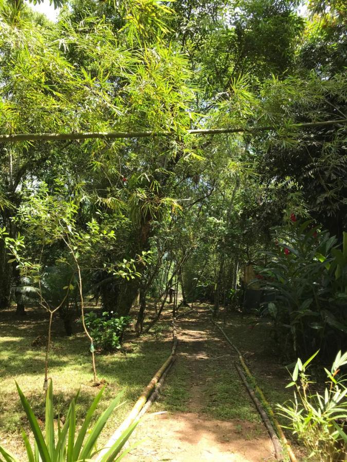 Casa A Beira Do Rio Jaguareguava Na Mata Atlantica Em Bertioga Sp Villa Ngoại thất bức ảnh